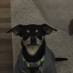 Meet your Posher, Michael